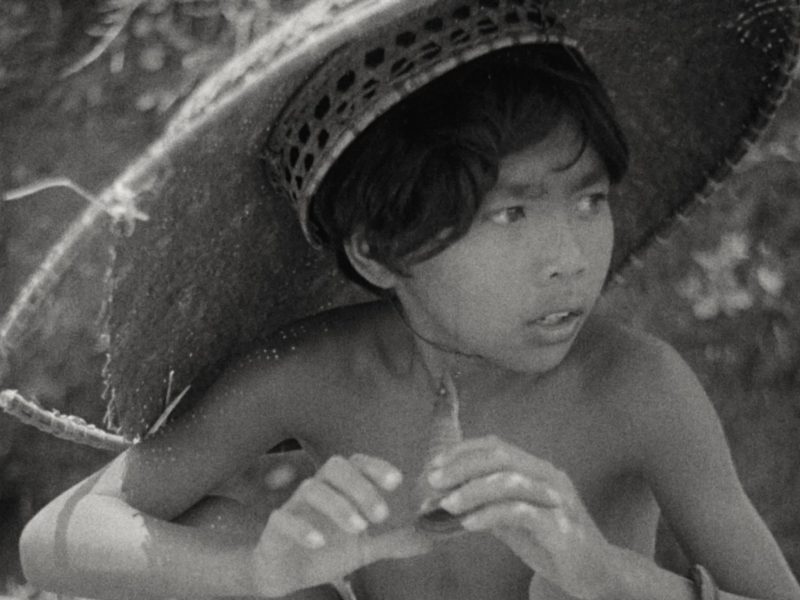 Image 4-11-25 at 7.33 PM